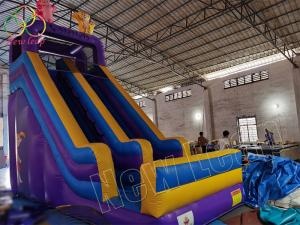 newleap factory inflatable dry slide