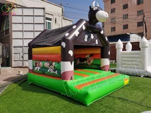 inflatable bouncy  castle
